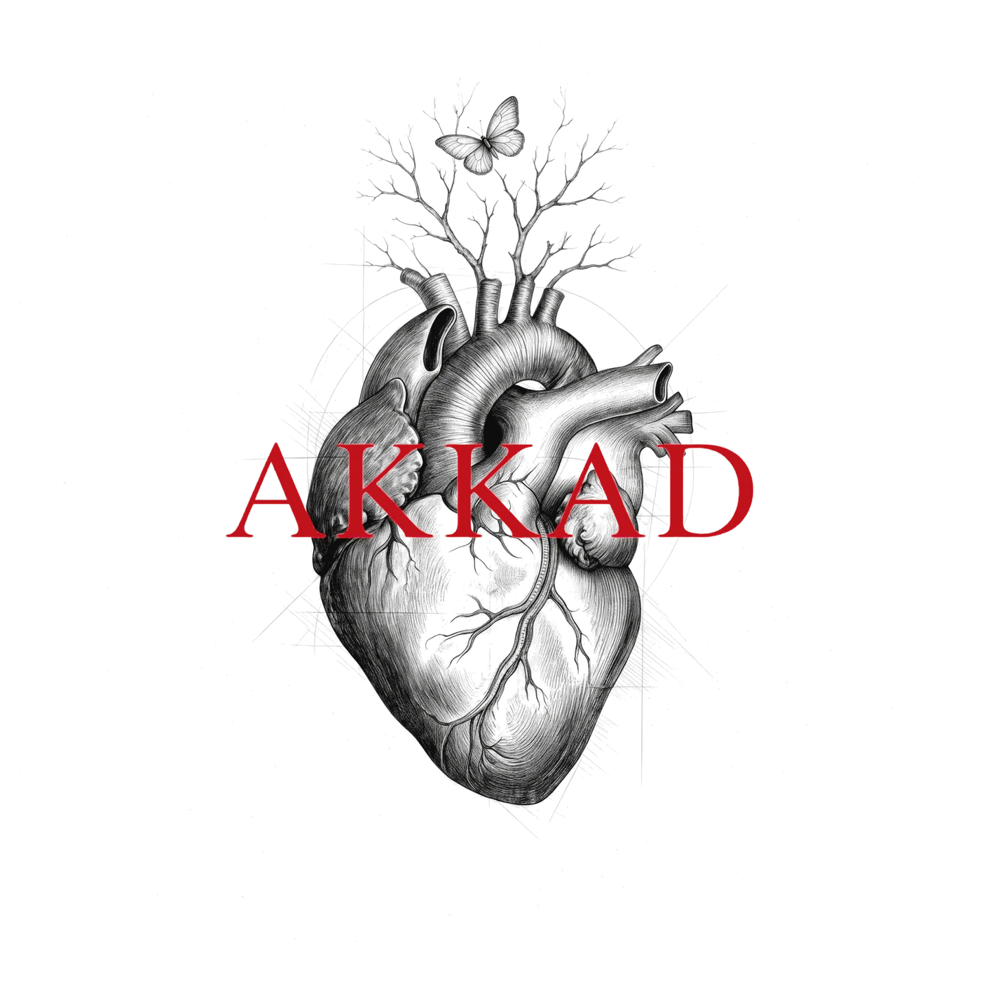 Обкладинка альбому «Аккад» 2006: анатомічне серце, з якого проростає деревце